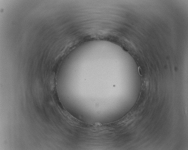 X0000062841012200601272011