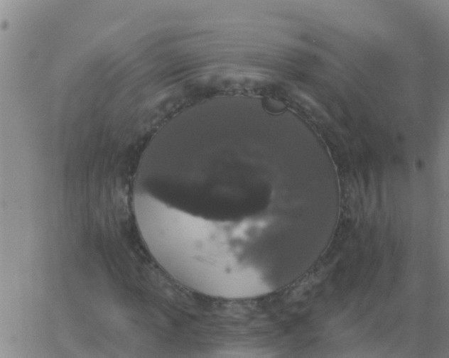 X0000062841013200601272011