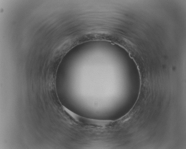 X0000062841014200601272011