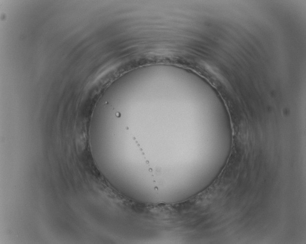 X0000062841015200601272011