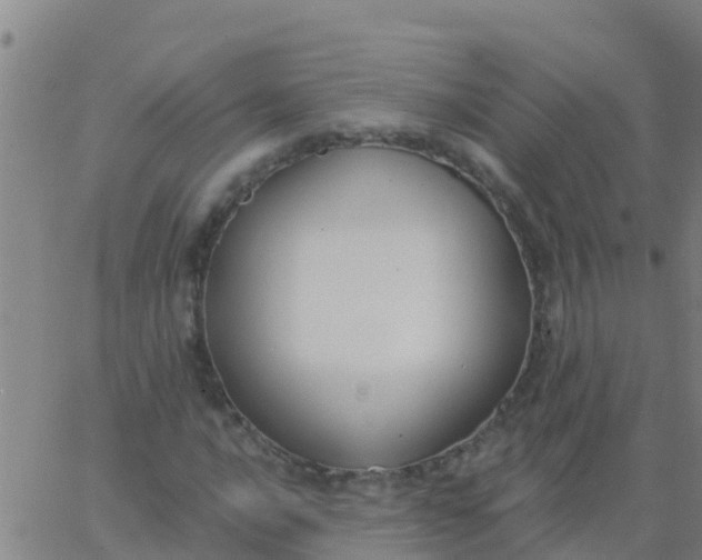 X0000062841016200601272011