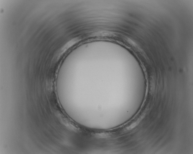 X0000062841017200601272011