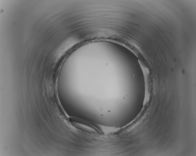 X0000062841018200601272011