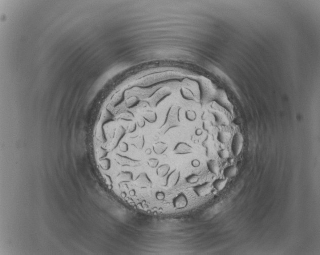 X0000062841019200601272011