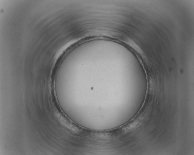 X0000062841020200601272011