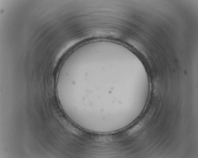 X0000062841021200601272011