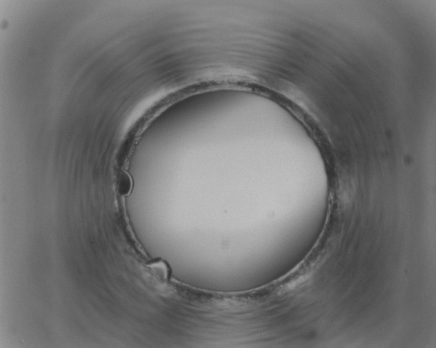 X0000062841022200601272011