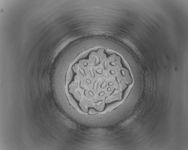 X0000062841023200601272011