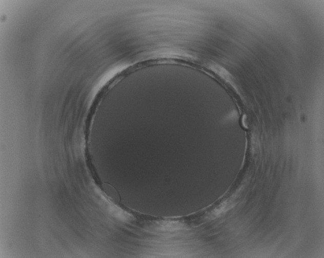 X0000062841024200601272011