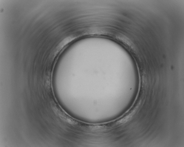 X0000062841025200601272011