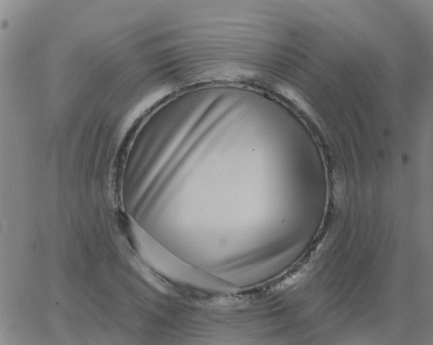 X0000062841026200601272011