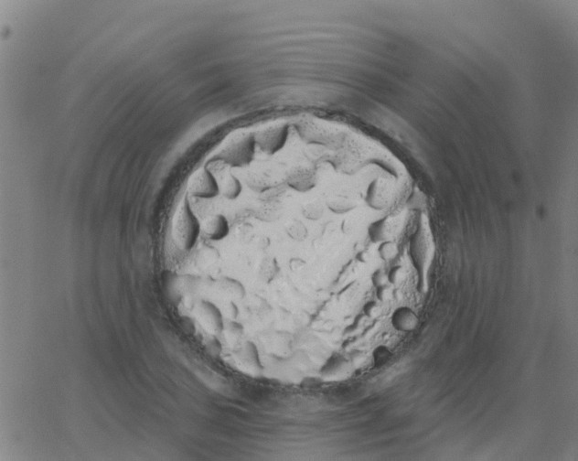 X0000062841027200601272011