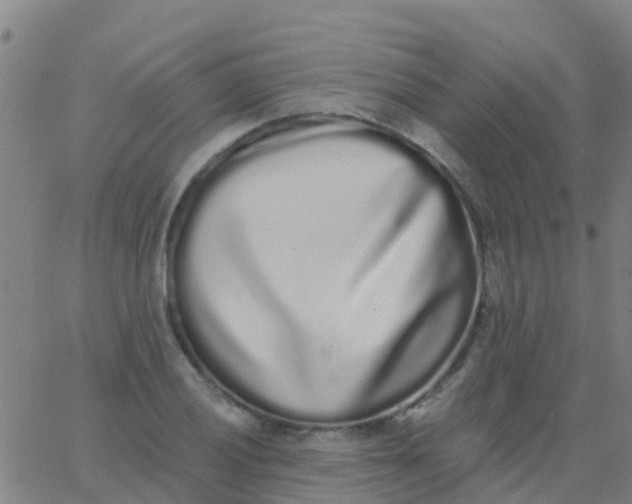 X0000062841028200601272011