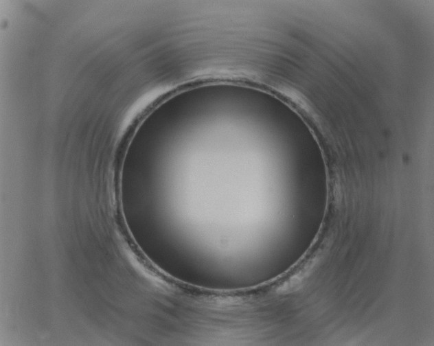 X0000062841030200601272011