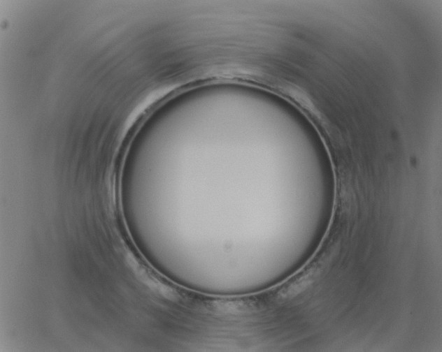 X0000062841032200601272011