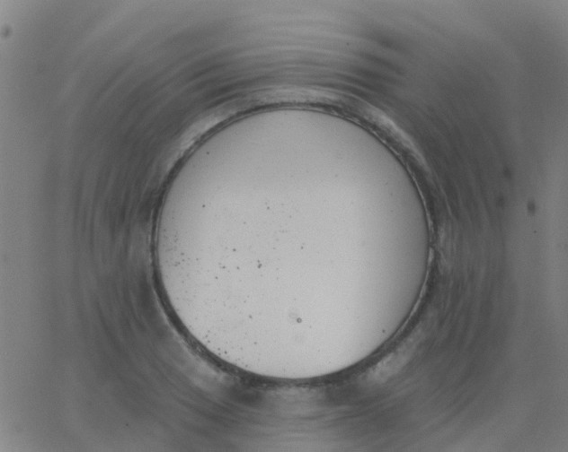 X0000062841033200601272011