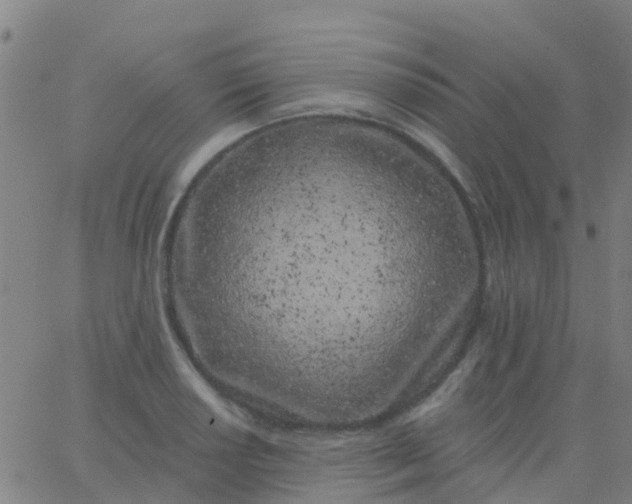 X0000062841034200601272011