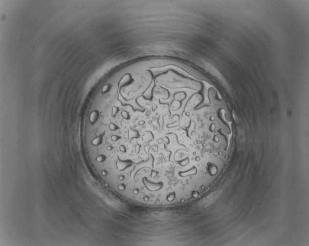 X0000062841035200601272011