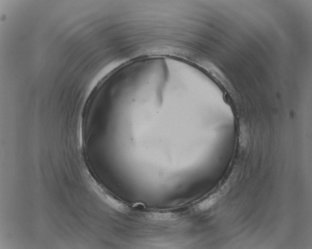 X0000062841036200601272011