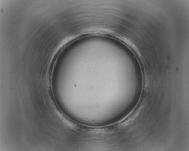 X0000062841037200601272011