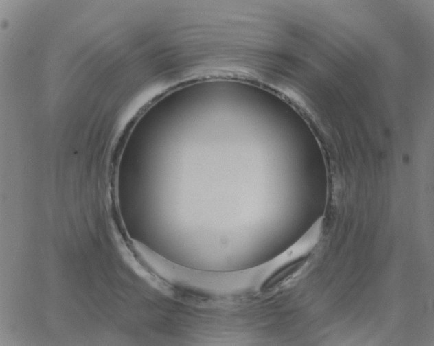 X0000062841038200601272011