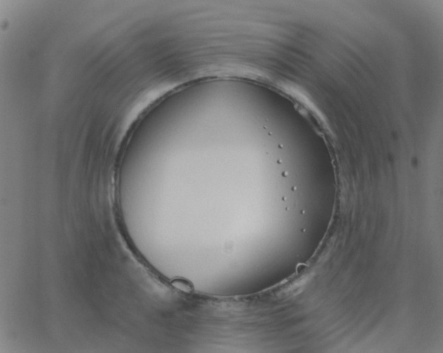 X0000062841040200601272011