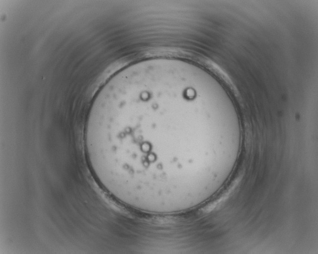 X0000062841041200601272011