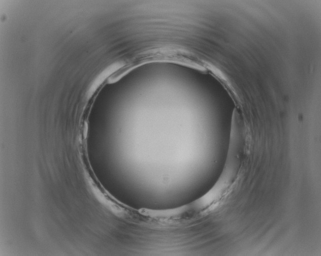 X0000062841042200601272011