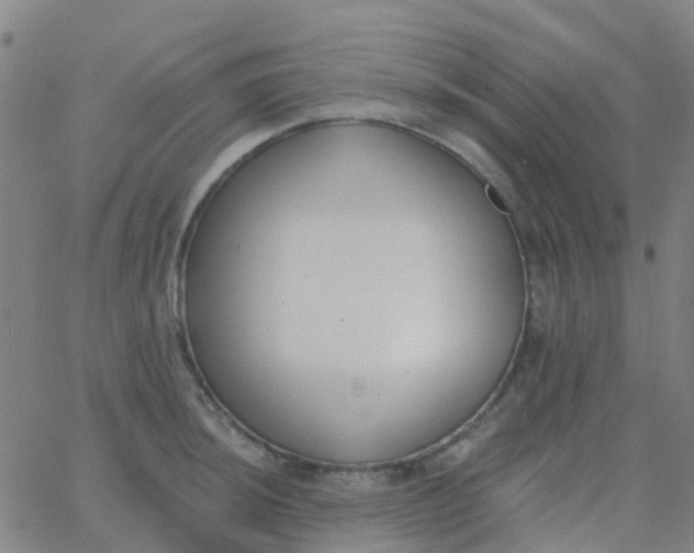 X0000062841044200601272011