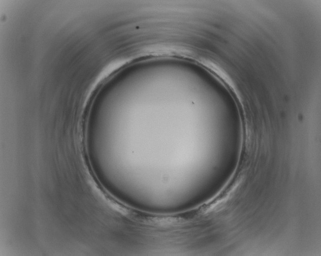 X0000062841045200601272011