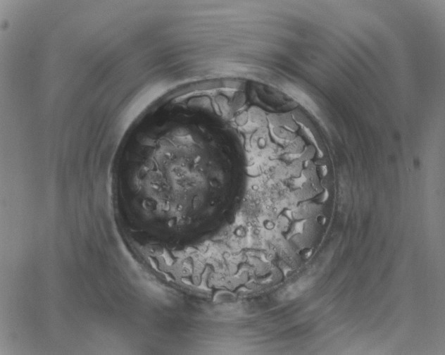 X0000062841047200601272011