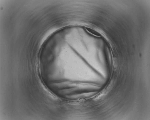 X0000062841048200601272011