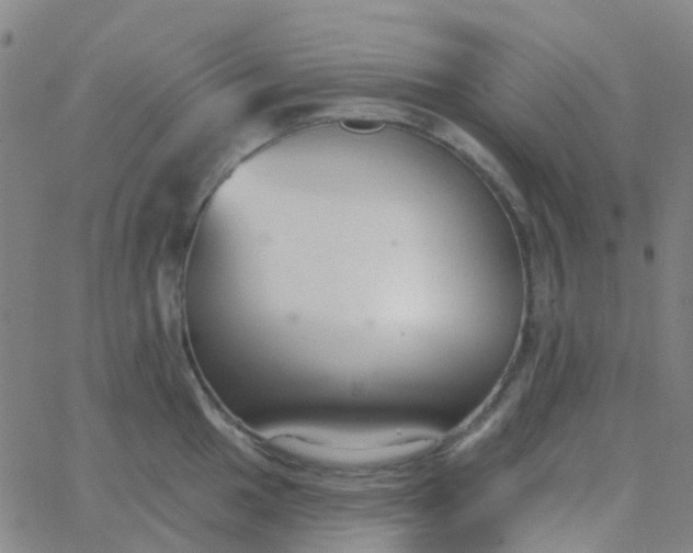 X0000062841049200601272011