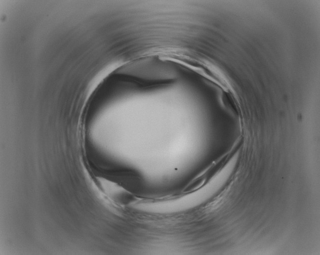 X0000062841050200601272011