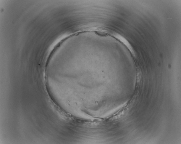 X0000062841051200601272011