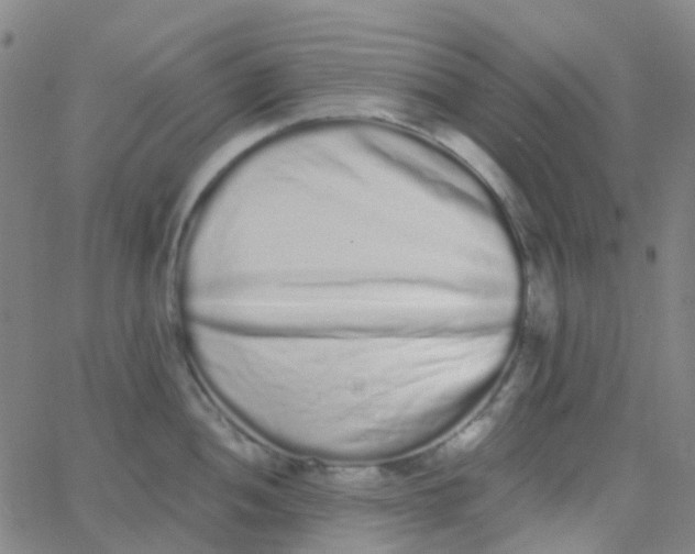 X0000062841052200601272011