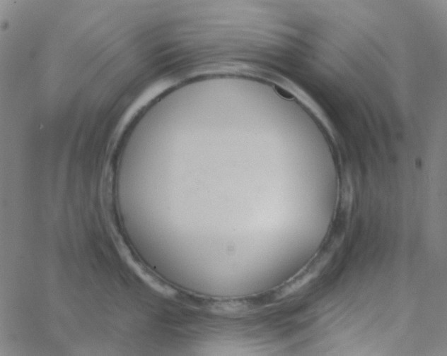 X0000062841053200601272011