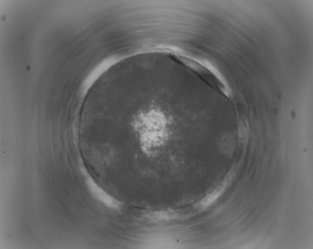 X0000062841054200601272011