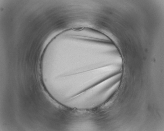 X0000062841056200601272011