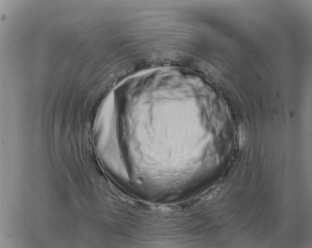 X0000062841059200601272010