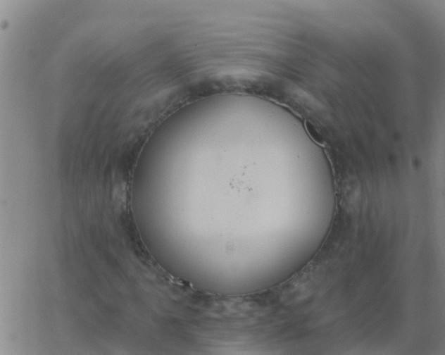 X0000062841061200601272010