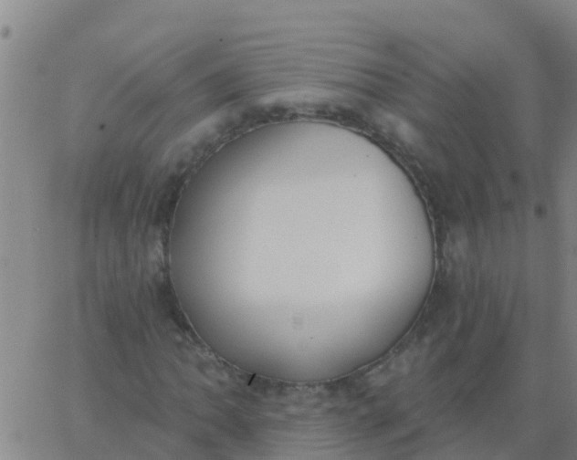 X0000062841062200601272010