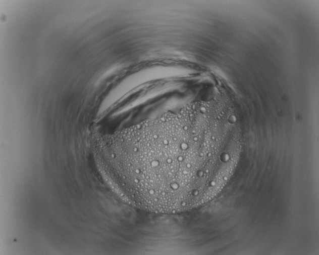 X0000062841063200601272010