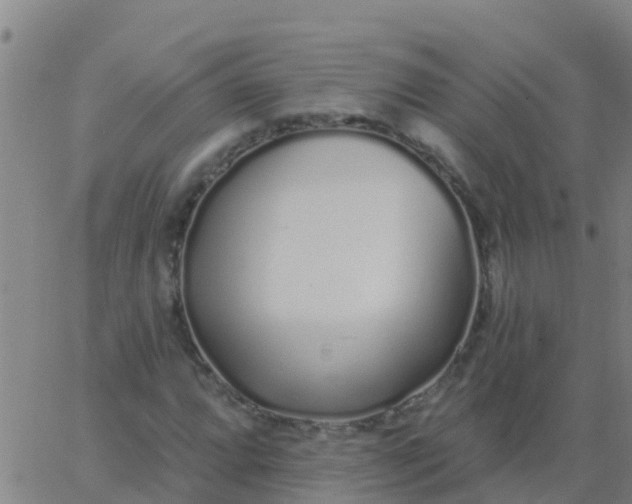 X0000062841064200601272010