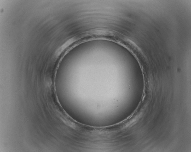 X0000062841065200601272010