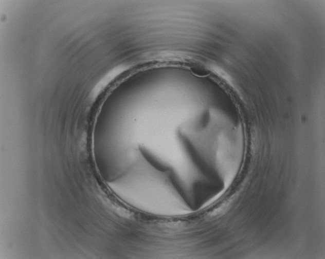 X0000062841066200601272010