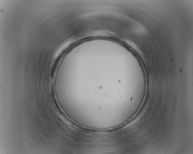 X0000062841067200601272010