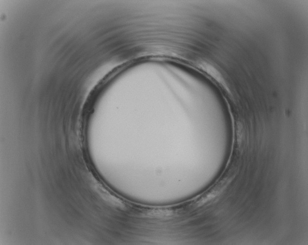 X0000062841068200601272010