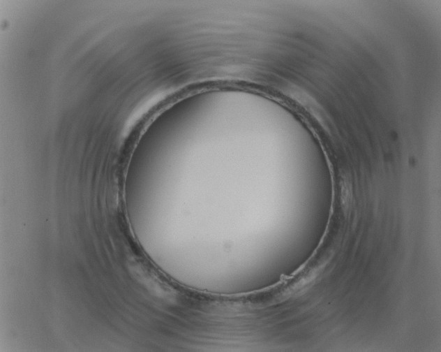 X0000062841069200601272010