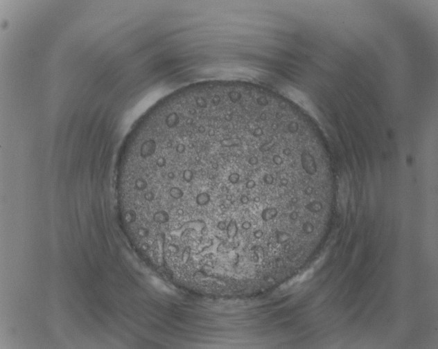 X0000062841071200601272010